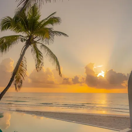 12br Beachfront Private With Infinity Pool By Solmar * Tulum