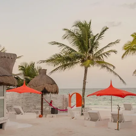 Villa 12br Beachfront Private With Infinity Pool By Solmar Tulum