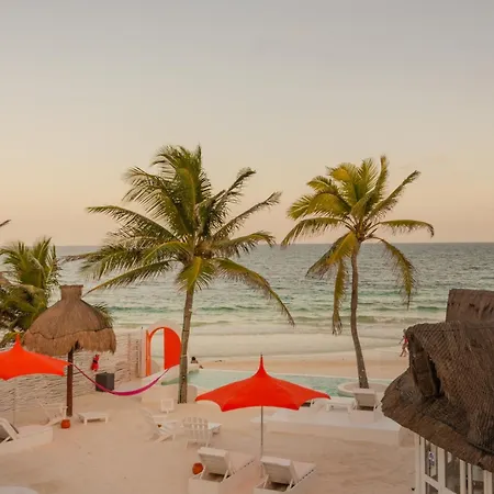 12br Beachfront Private With Infinity Pool By Solmar