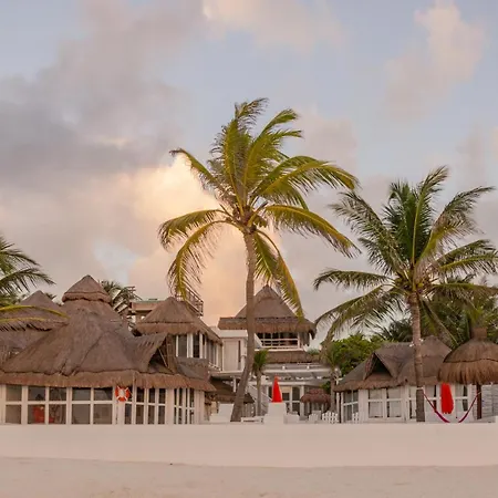 12br Beachfront Private With Infinity Pool By Solmar Tulum