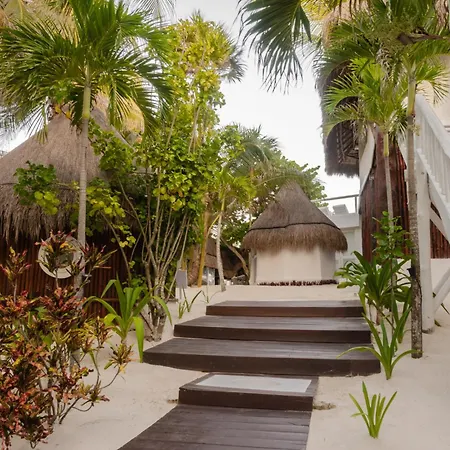 12br Beachfront Private With Infinity Pool By Solmar Villa