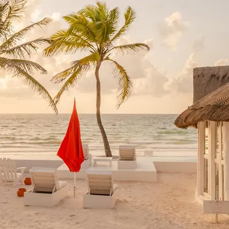 12br Beachfront Private With Infinity Pool By Solmar Villa