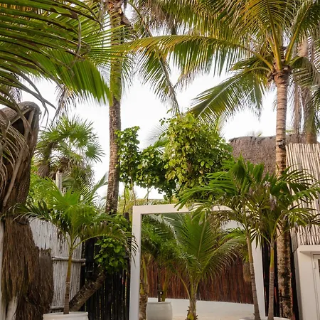 12br Beachfront Private With Infinity Pool By Solmar