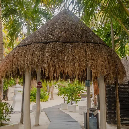 12br Beachfront Private With Infinity Pool By Solmar Villa *