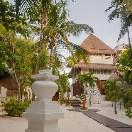 12br Beachfront Private With Infinity Pool By Solmar *