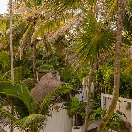 12br Beachfront Private With Infinity Pool By Solmar *