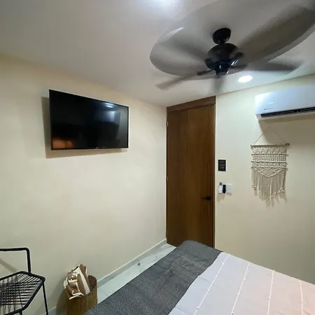 28% Descuento Estudio Tropical Tulum