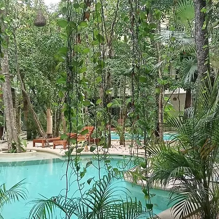 Apartment Unique Design In La Veleta Tulum
