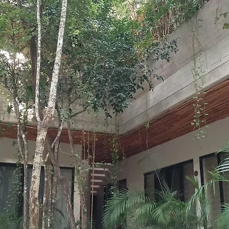 Unique Design In La Veleta *
