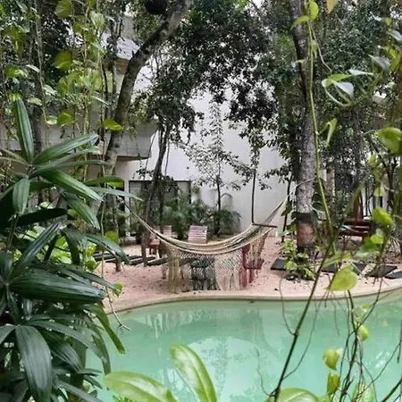 Unique Design In La Veleta Apartment Tulum