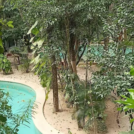 Unique Design In La Veleta * Tulum