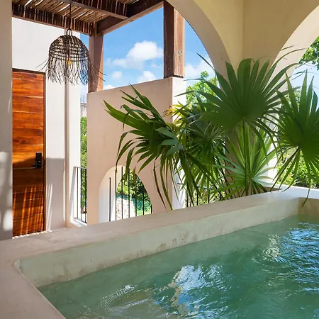 New! Private Pool. Near Beach&town. 200mb Wi-fi Tulum