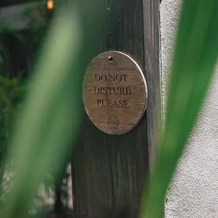Nahouse Jungle