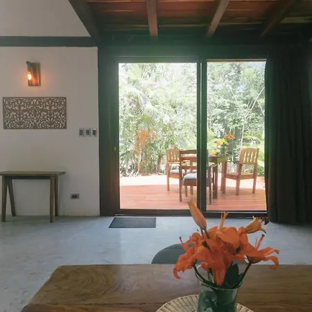 Nahouse Jungle Lodge