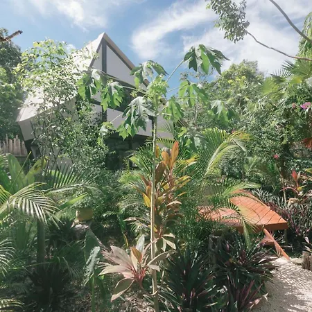 Nahouse Jungle *