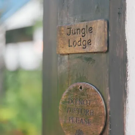 Nahouse Jungle *