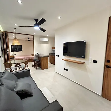 Depto #3 Hermoso Departamento En 2 Rec Apartment