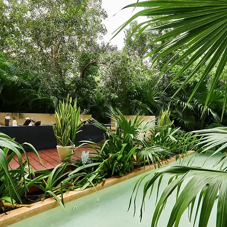 Serene In La Veleta With Private Plunge Pool, Gym, Rooftop Pool And Yoga Lounge Apartment *