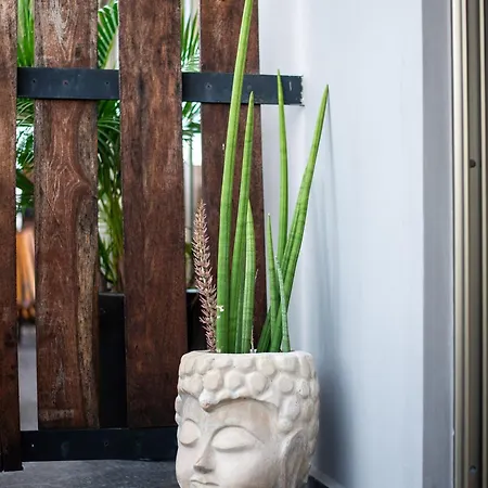 Apartment 1 Rec. Boho Style | Sauna | Steam | Gym | Centrico *