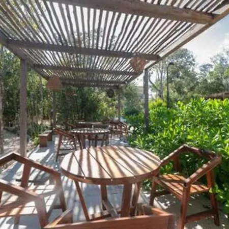 Aldea Savia Un Oasis De Paz En El Corazon De Tulum