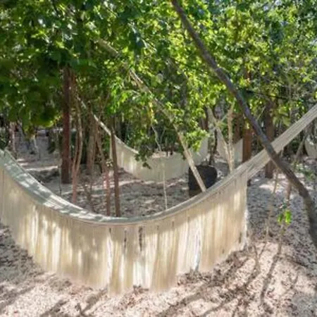 Aldea Savia Un Oasis De Paz En El Corazon De * Tulum