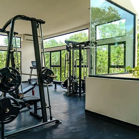 Tranquility Apartment