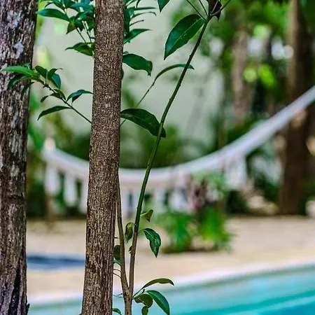 Tranquility Tulum