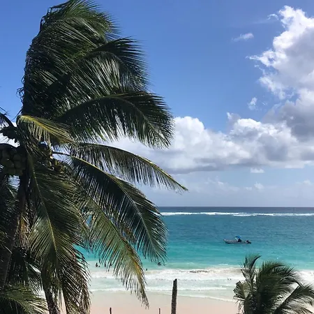 Hotel Cinco