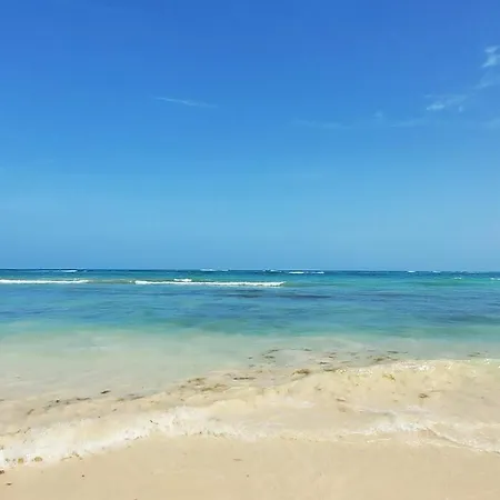 Luxury Jungle Loft, 7 Pools, Rooftop Panoramic View, Shuttle, Fast Wifi * Tulum
