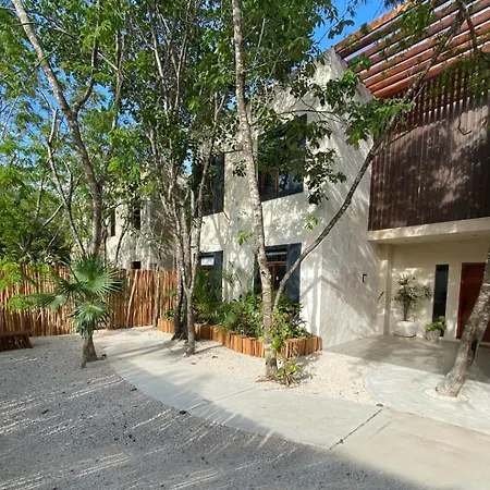 El Rey Loro - Lux 4 Bed @bluedeertulum * Tulum