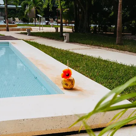 Luz De Luna Ii Apartment Tulum