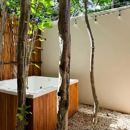 Increible Garden Pool N-b2 By Sandy Powerful Tulum