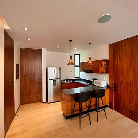 Hyde 204 Apartment