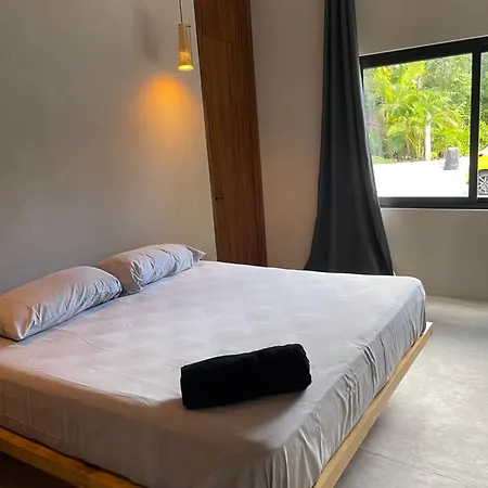 Leto * Tulum