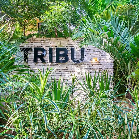 Tropical Refuge Tribu By Casago Holiday home Tulum