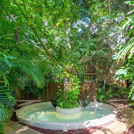 Tropical Refuge Tribu By Casago *