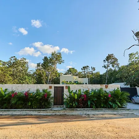 Tortuga Lux 4 Bdr Big Garden*pool *cenote Villa *