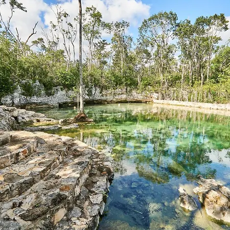 Tortuga Lux 4 Bdr Big Garden*pool *cenote Tulum