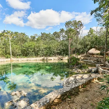Villa Tortuga Lux 4 Bdr Big Garden*pool *cenote Tulum