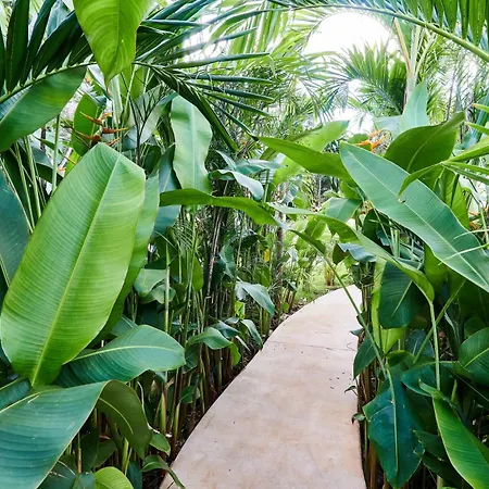 Tortuga Lux 4 Bdr Big Garden*pool *cenote Villa *