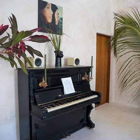 Villa Sotik House