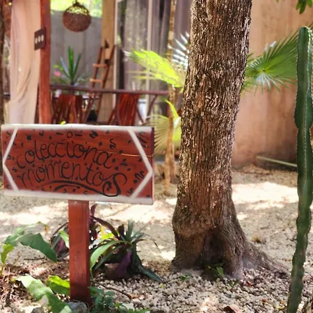 Jungle Deluxe Kin *