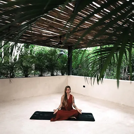 Invisible Loft Experience