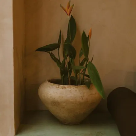 Gardenia Collective 4* Tulum