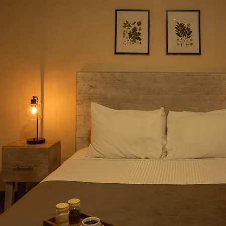 Hotel Gardenia Collective 4*