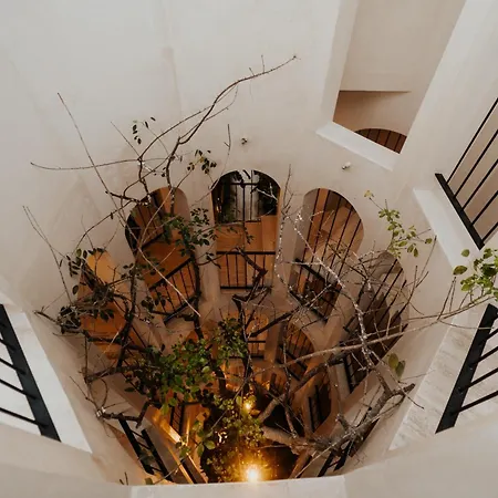 Torana As Seen On Hgtv Tropic Like It S Hot New Hit Show Tulum