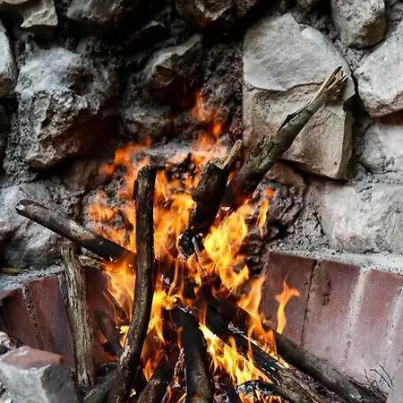 Сasa de vacaciones Zen Canto Tuuch :: May The Jungle Be With You