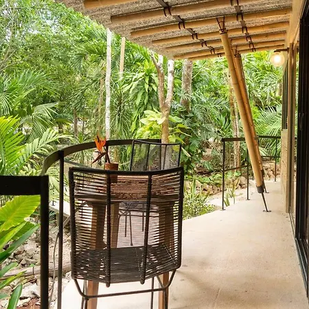 Сasa de vacaciones Zen Canto Tuuch :: May The Jungle Be With You *