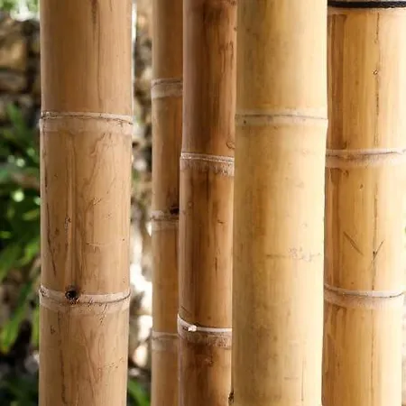 Сasa de vacaciones Zen Canto Tuuch :: May The Jungle Be With You Tulum