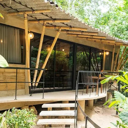 Zen Canto Tuuch :: May The Jungle Be With You * Tulum